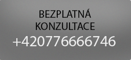 Detektivní kancelář a  detektivní služby